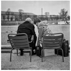 Jardin des Tuileries