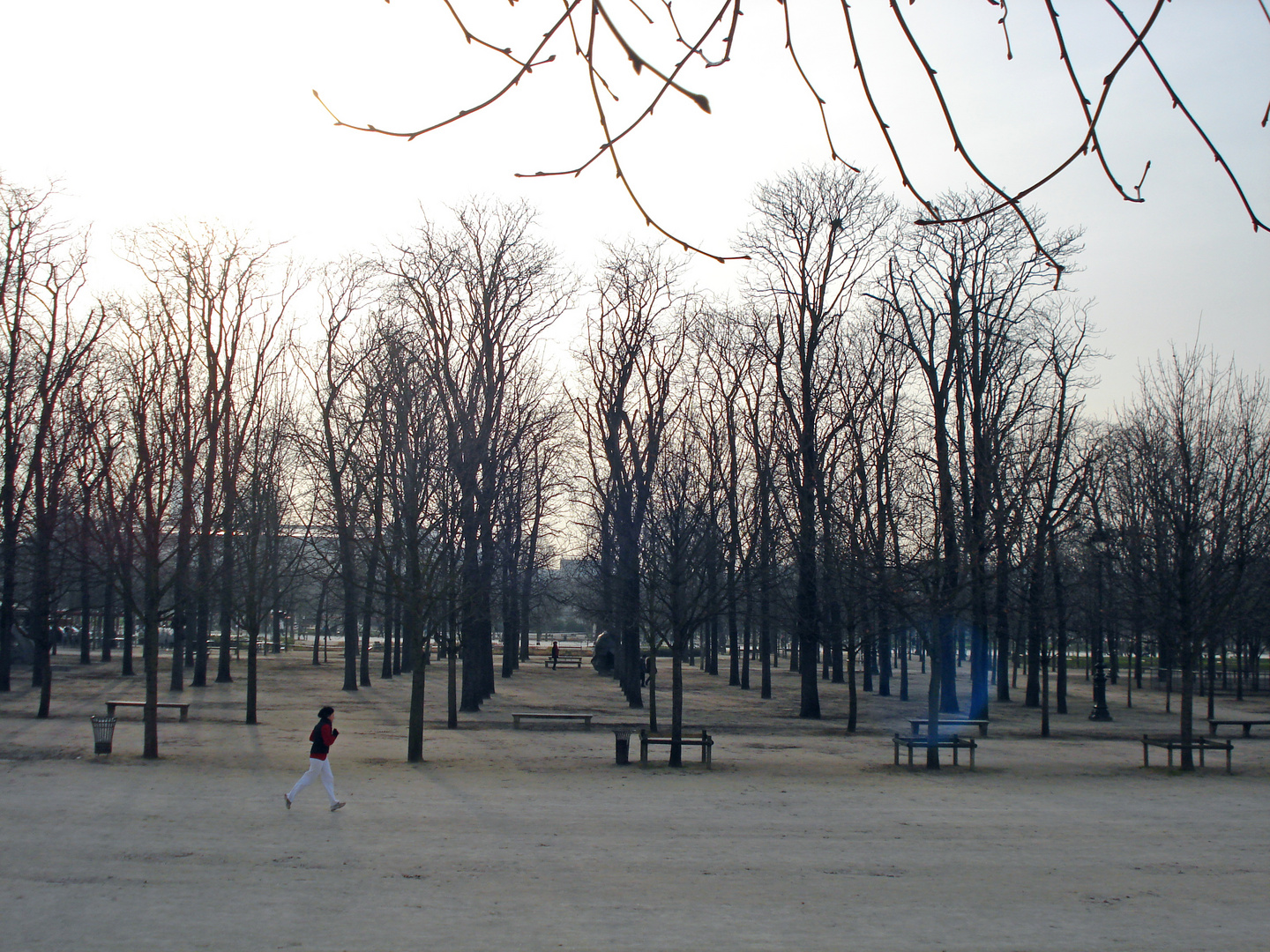 jardin des Tuileries ©