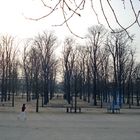 jardin des Tuileries ©