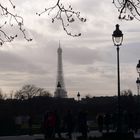 Jardin des Tuileries