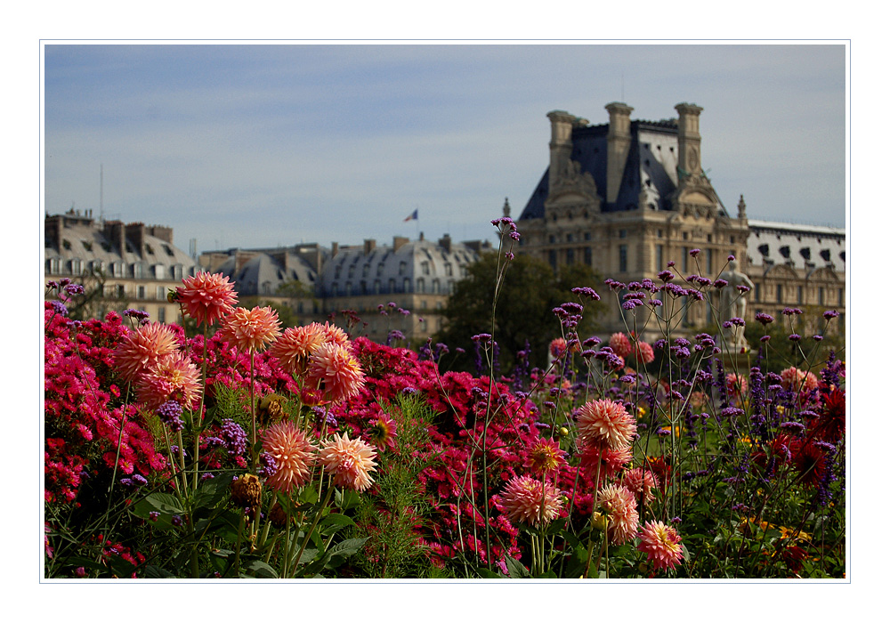 jardin des tuileries