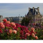 jardin des tuileries