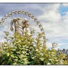 Jardin des Tuileries