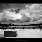 Jardin des Tuileries