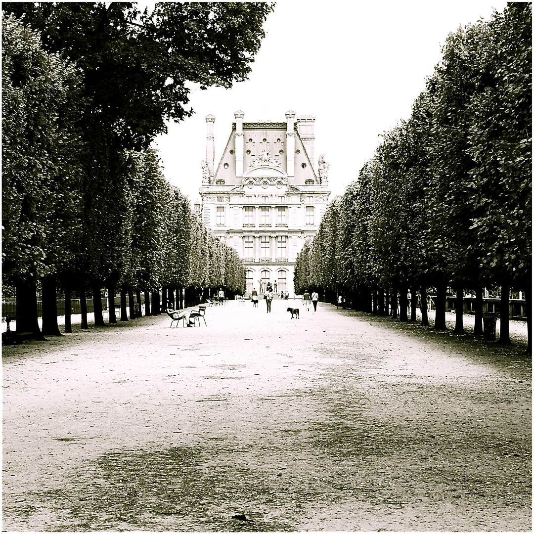 jardin des tuileries