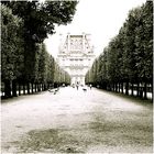 jardin des tuileries