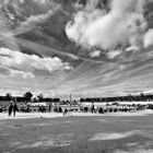 jardin des tuileries