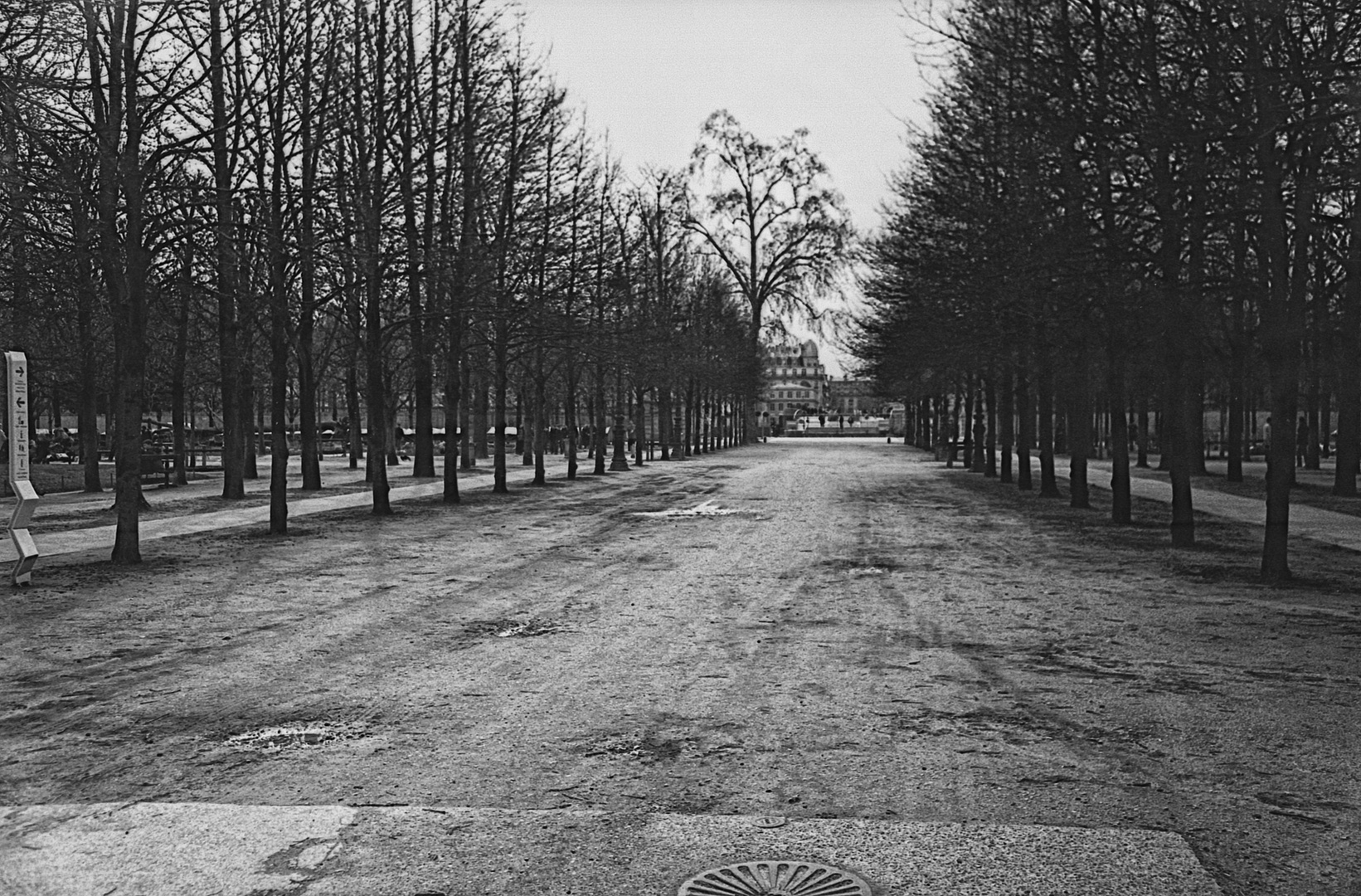 Jardin des Tuileries