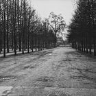 Jardin des Tuileries