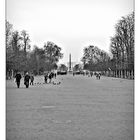 Jardin des Tuileries .II.