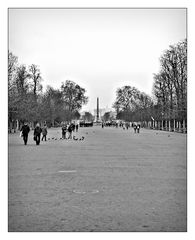 Jardin des Tuileries .II.