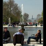 Jardin des Tuileries - Le Grand Carré