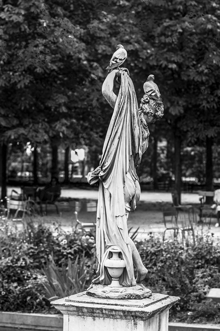 Jardin des Tuilleries