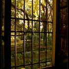 Jardín desde mi ventana