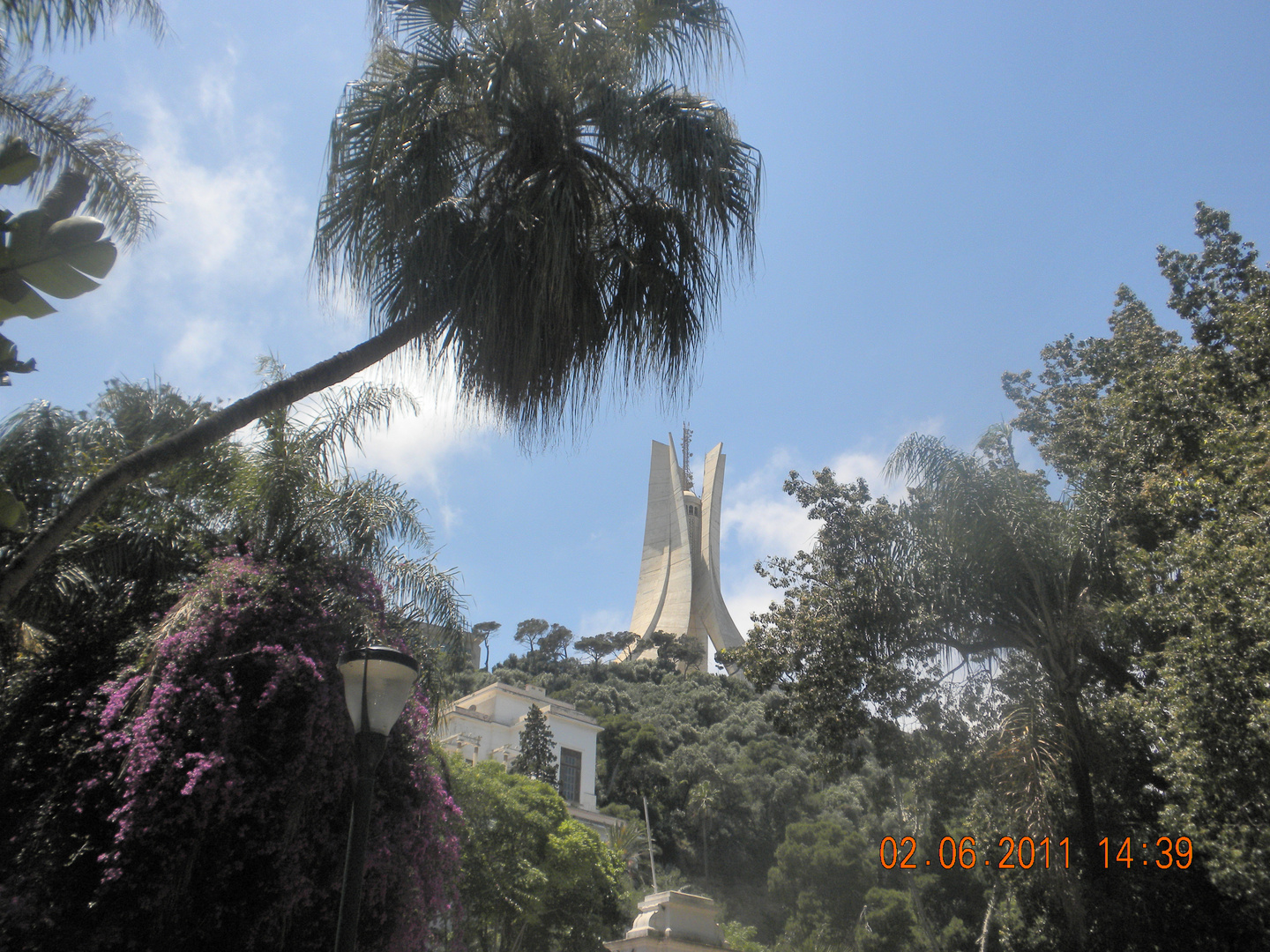 Jardin d'essai du Hamma : ((Algerie))