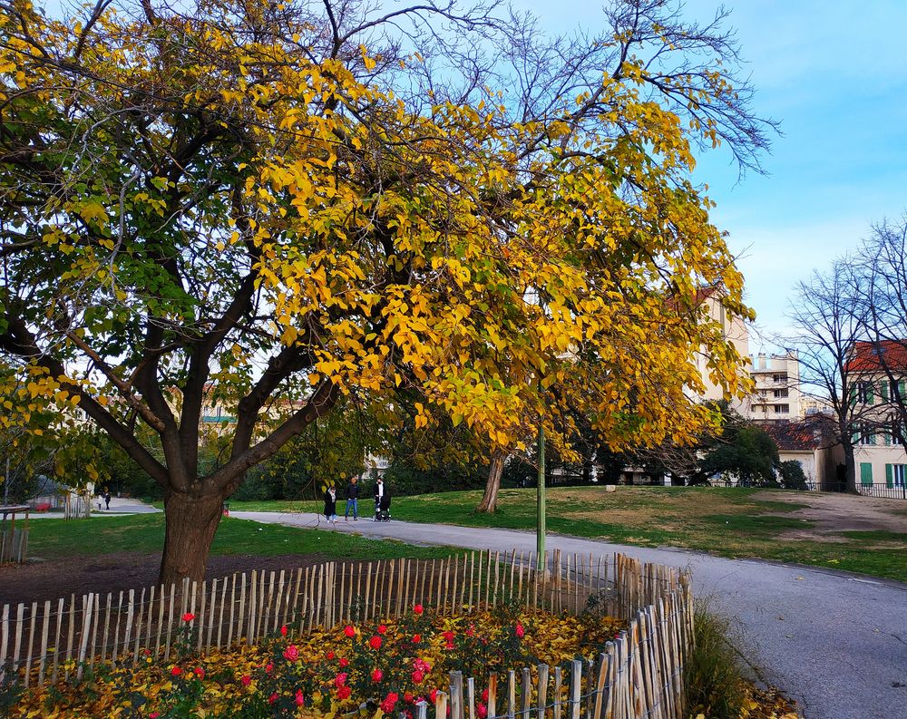 Jardin d'hiver