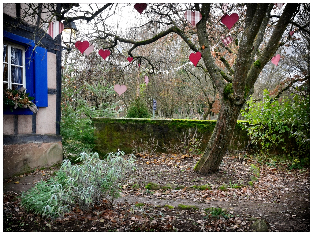 Jardin d'hiver