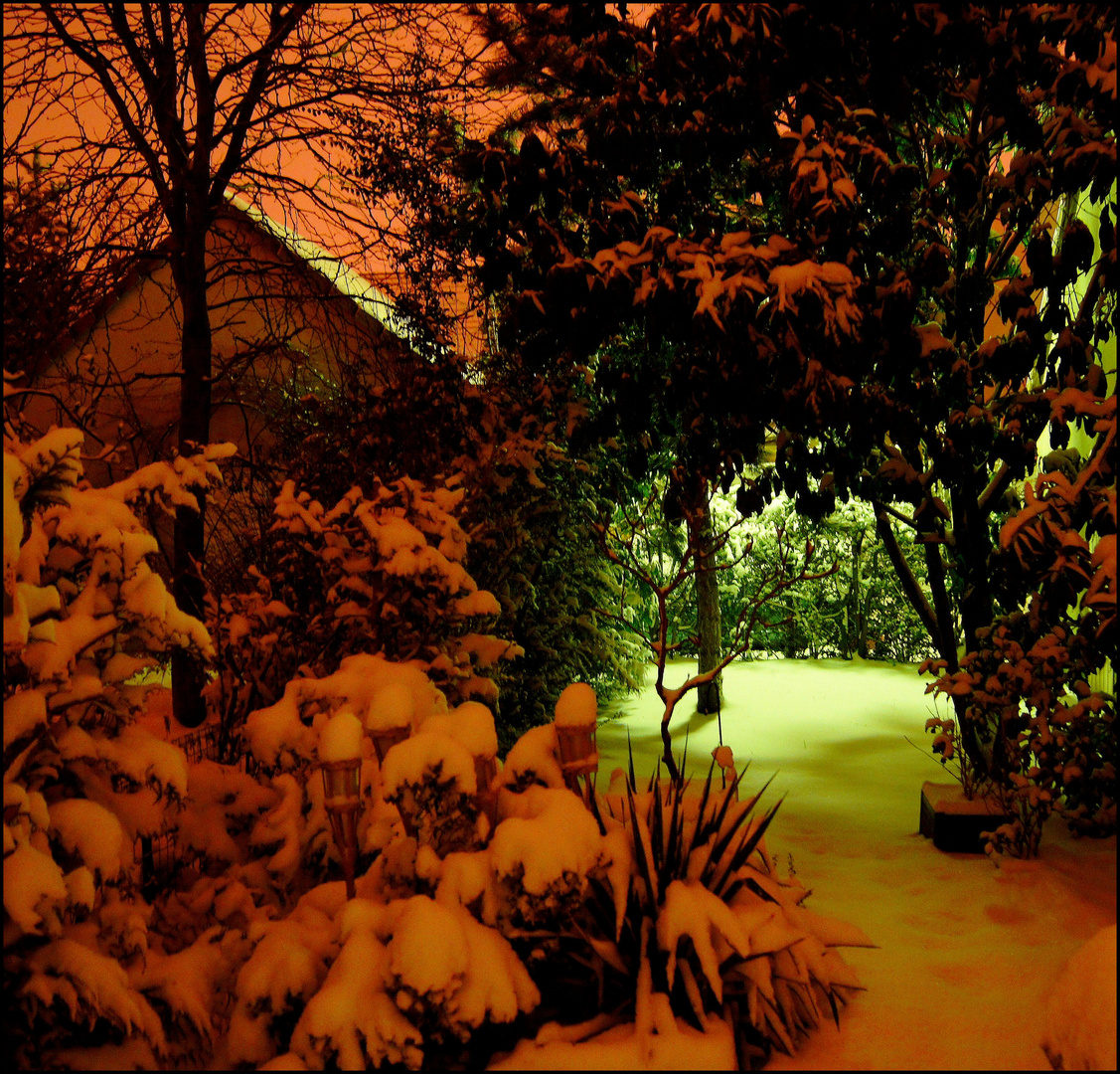 Jardin d'hiver ...