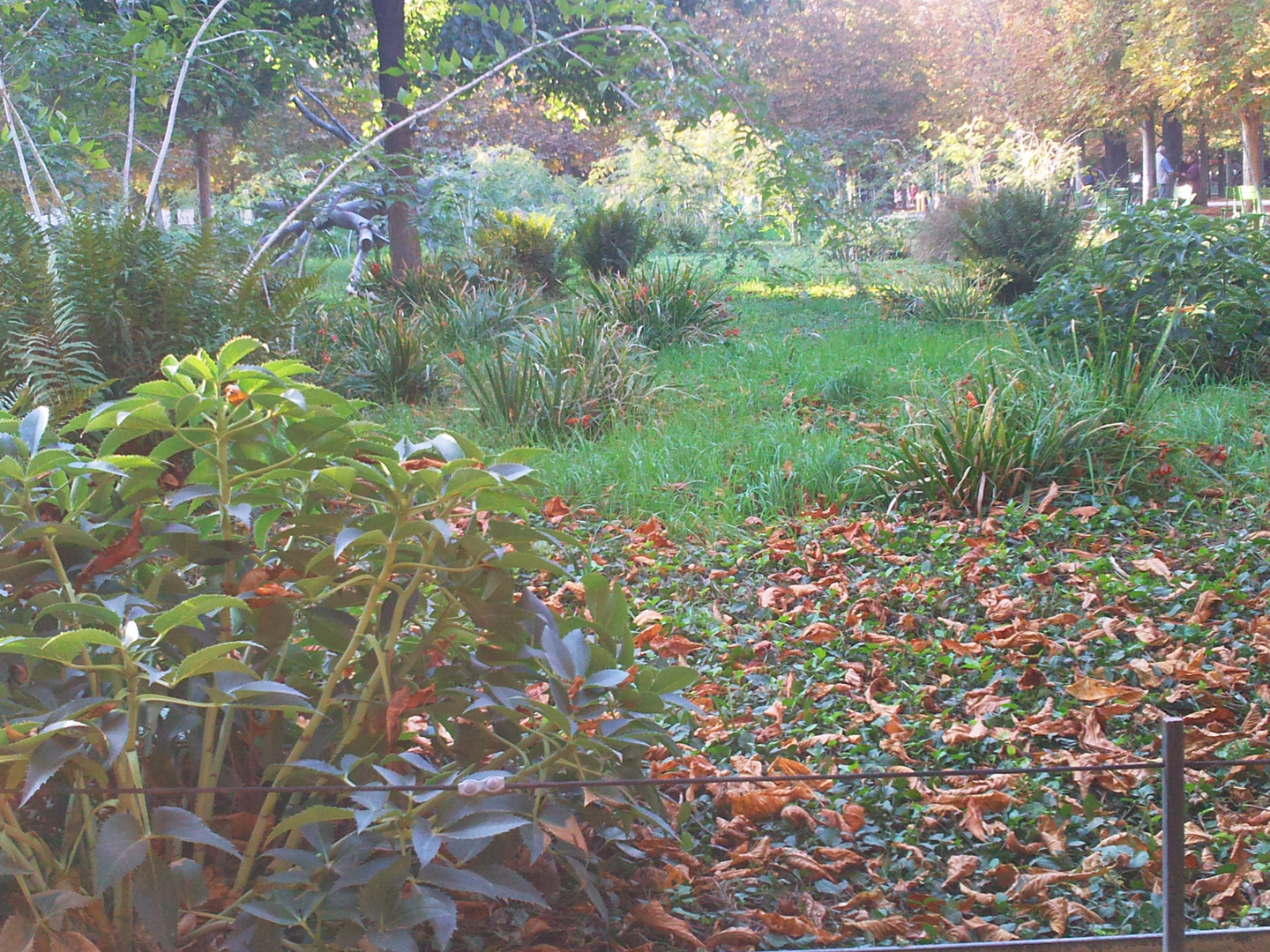 Jardin d'Octobre