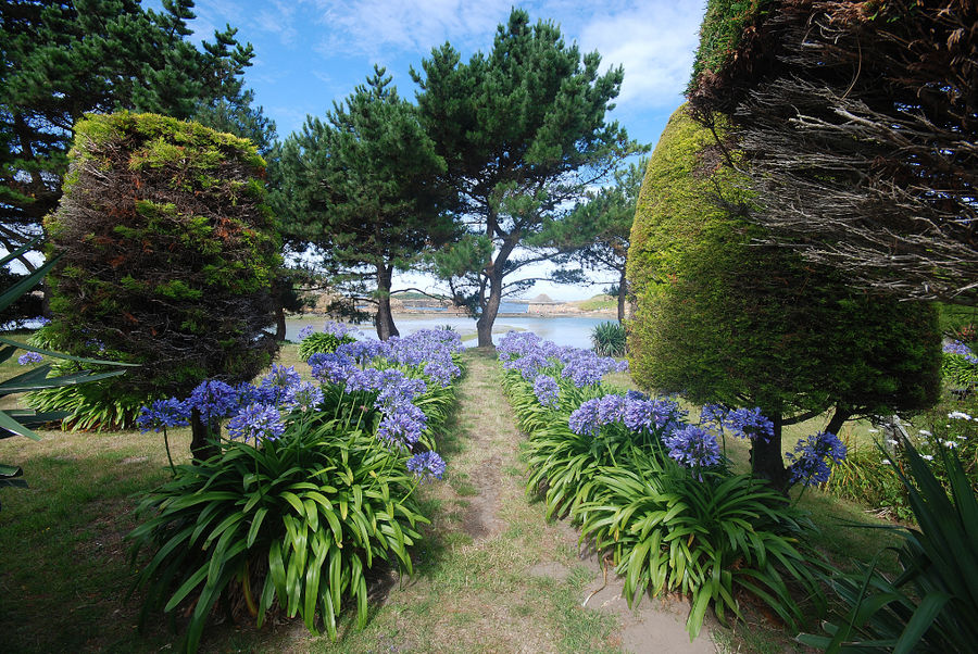 Jardin du Birlot, Ile de Brehat, Bretagne