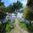 Jardin du Birlot, Ile de Brehat, Bretagne