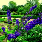 jardin du chateau d'aubigné sur layon