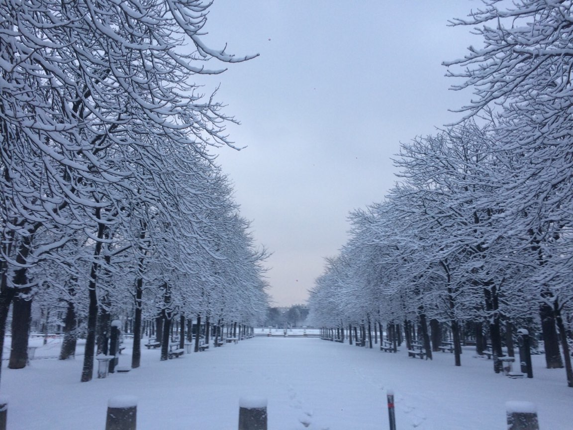 Jardin du Luxembourg 