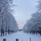 Jardin du Luxembourg 