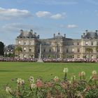 jardin du Luxembourg 2