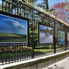 jardin du Luxembourg