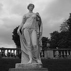 jardin du Luxembourg