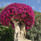 jardin du Luxembourg