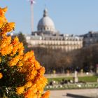 Jardin du Luxembourg