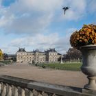 Jardin du Luxembourg I