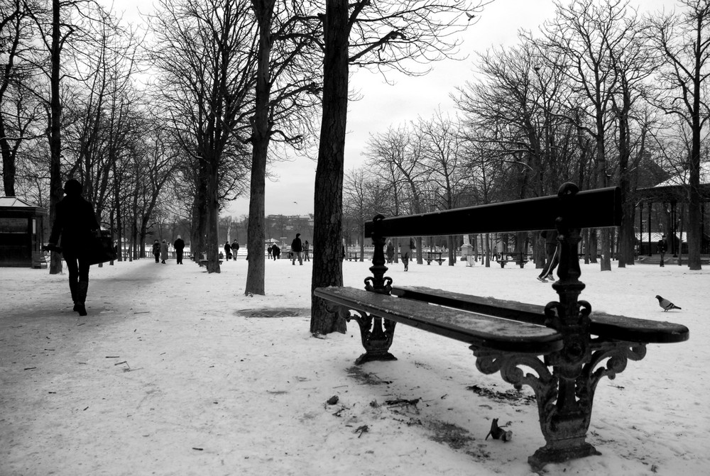 Jardin du Luxembourg janvier 2009