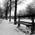 Jardin du Luxembourg janvier 2009