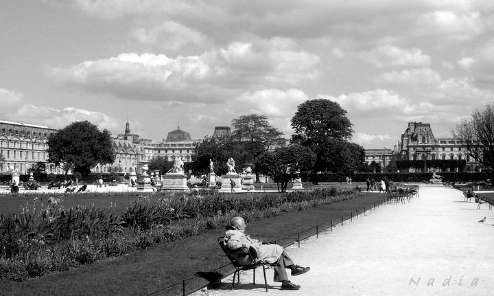 Jardin du Luxembourg Paris