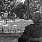 Jardin du Luxembourg (trois)