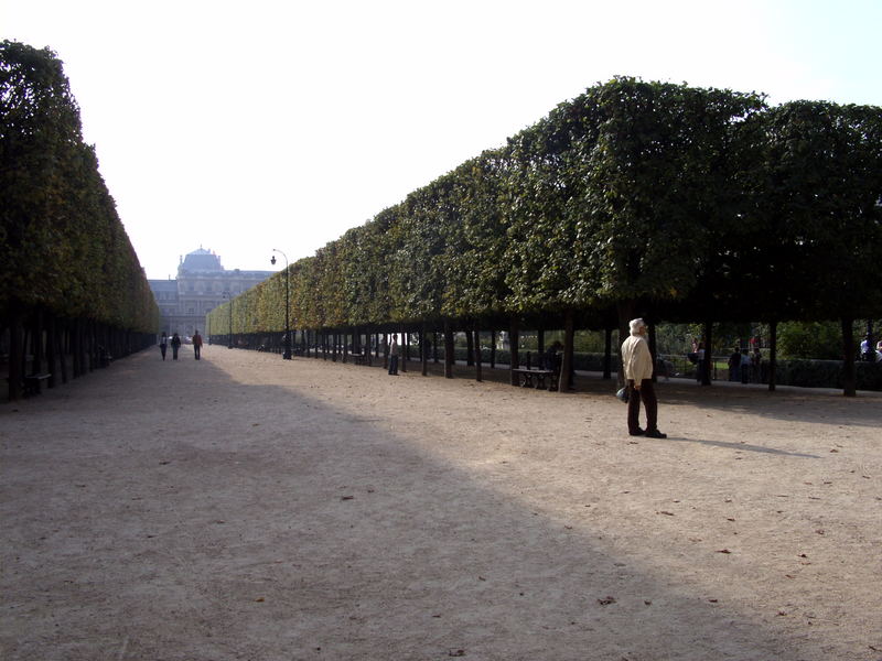 Jardin du Palais Royal (1)