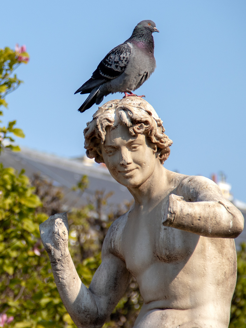 Jardin du Palais Royal