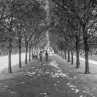 Jardin Du Palais Royal1