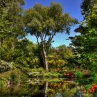 Jardin du Petit Bordeaux - Saint Biez en Belin