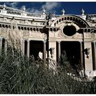 Jardin du Petit Palais 3