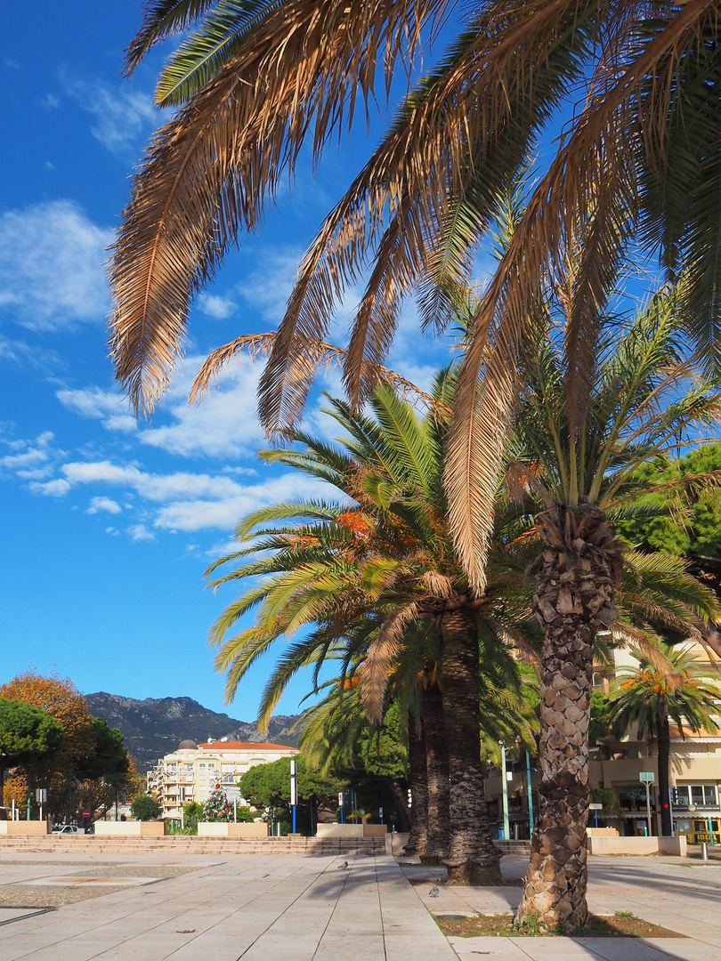 Jardin Elisée Reclus  -  Menton