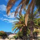 Jardin Elisée Reclus  -  Menton