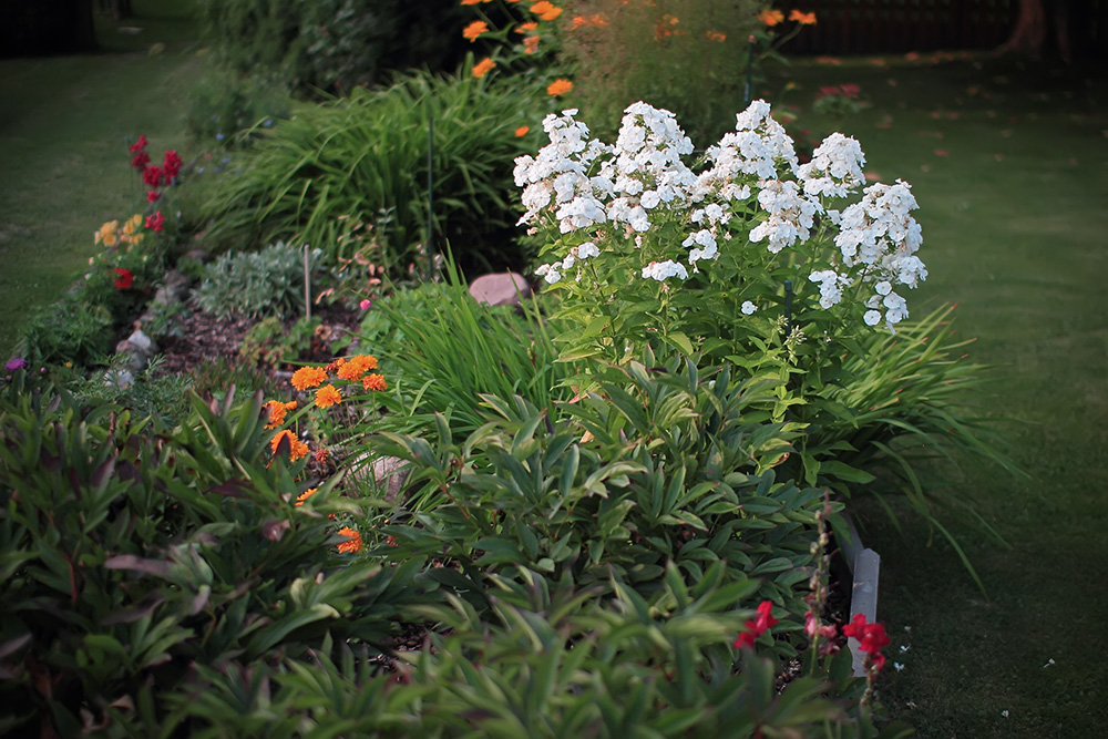 Jardin en f/1.4