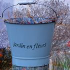 Jardin en fleurs