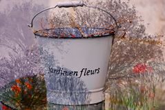 Jardin en fleurs