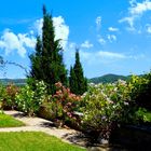 Jardin en Luberon