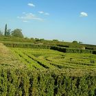 Jardin Escorial